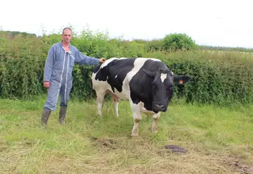 élveur blanc bleu donneuse d'embryons