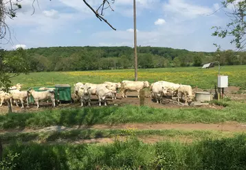 Grâce à une antenne de lecture positionnée à proximité de l’abreuvoir au pré, la ferme de Jalogny, en Saône-et-Loire, a pu suivre la fréquentation des animaux au point d’abreuvement et recouper les données avec la température et la pluviométrie.