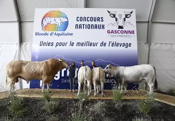 Photo d'archives des concours nationaux blonde d'Aquitaine et gasconne des Pyrénées dans le cadre du salon Les Pyrénéennes à Saint-Gaudens en 2021. 