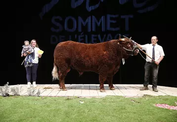 sommet de l'élevage concours bovins viande salers