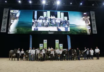 concours race bazadaise sommet de l'élevage 2024