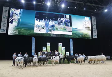 concours blanc bleu sommet de l'élevage 2024