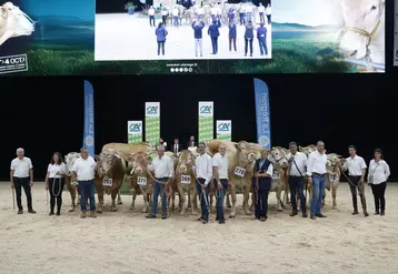Concours blonde d'Aquitaine Sommet de l'élevage 2024