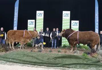 concours limousin Sommet de l'élevage 2024
