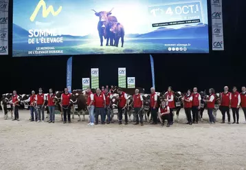 Concours rouge des Prés Sommet de l'élevage 2024