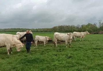 <em class="placeholder">Maxime Couillard, situé à Jauzé dans la Sarthe, 169 ha de SAU, 55 vêlages en race charolaise, 1 600 m² de volailles de chair</em>