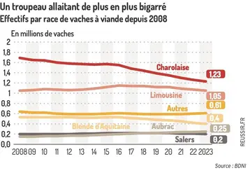 <em class="placeholder">Graphique des effectifs par race de vaches à viande depuis 2008</em>