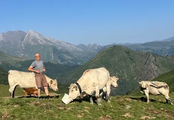 <em class="placeholder">Eleveur bovin viande et vaches charolaise à l&#039;estive dans les Hautes-Pyrénées. Pâturage, transhumance, agriculture de montagne.</em>