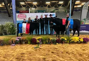 <em class="placeholder">Taureau et vache suitée de race Angus et leurs éleveurs, mis à l&#039;honneur en présentation à La Ferme s&#039;invite, à Poitiers</em>