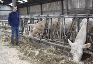 <em class="placeholder">éleveur stabulation vaches charolaises</em>