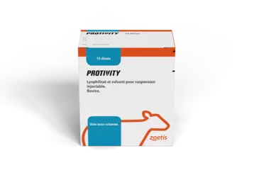 vaccin maladies respiratoires bovins Zoetis Protivity