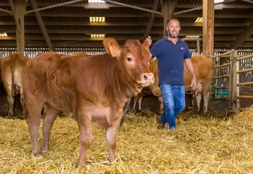 <em class="placeholder">Denis Briantais, polyculteur-éleveur de limousines en agriculture biologique à Huismes (Indre-et-Loire), 160 ha de SAU, 65 vêlages par an</em>