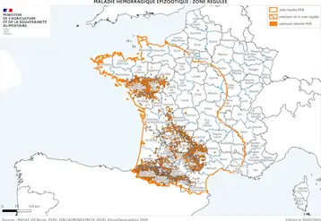 Cartographie de la zone réglementée au titre de la MHE à partir des foyers du sud-ouest (à la date du 20 février 2025)