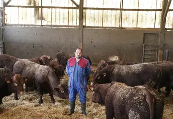 <em class="placeholder">Système naisseur engraisseur en race salers avec croisement charolais dans le Cantal</em>