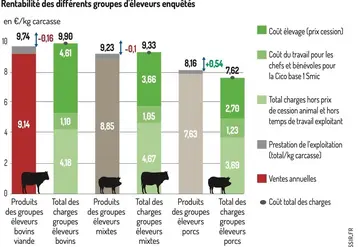 <em class="placeholder">Graphique - Cette enquête a aussi montré que la rentabilité était moins évidente en bovins viande qu’en porcsRentabilité des différents groupes d&#039;éleveurs enquêtés</em>
