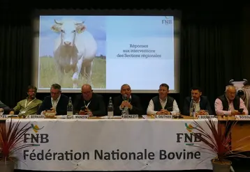 <em class="placeholder">Pour Patrick Bénézit, président de la Fédération nationale bovine, il est aujourd’hui légitime et surtout plus que jamais possible de « redonner sa grandeur à ...</em>