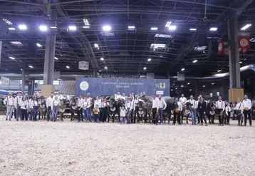 Concours général agricole 2025 race bazadaise