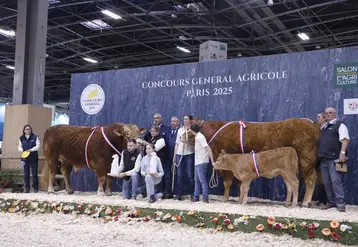 Concours général agricole 2025 race limousine