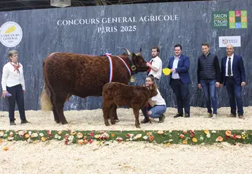 concours général agricole Salers salon de l'agriculture