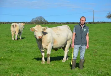 <em class="placeholder">Rémi Louvrier, installé dans le Morvan, avec son troupeau de vaches charolaises</em>