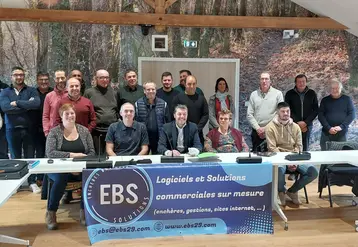 marché de bétail vif vente aux enchères