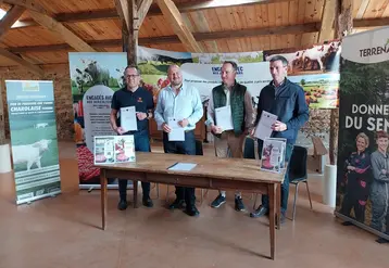 Terrena Elivia La coopérative U filière viande bovine "Charolais U"