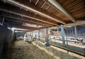 <em class="placeholder">bâtiment vaches allaitantes parc à veau confort thermique</em>