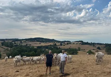 <em class="placeholder">éleveurs prairie été vaches charolaises veaux</em>