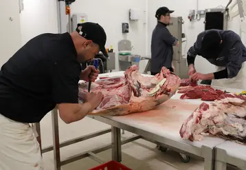 <em class="placeholder">Deux bouchers decoupant une carcasse de boeuf Charolais dans un atelier de decoupe bovin dans les Ardennes.</em>