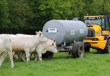 <em class="placeholder">Eleveur de bovin Charolais remplissant une tonne a eau et la livrant dans une pature.</em>