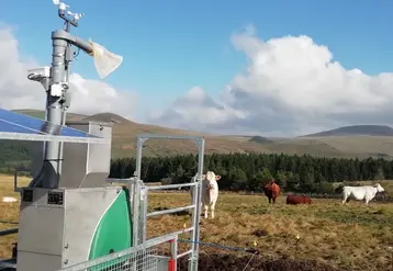 <em class="placeholder">mesure expérimentale des émissions de méthane entérque de bovins au pâturage</em>