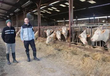 <em class="placeholder">éleveurs charolaises stabulation</em>