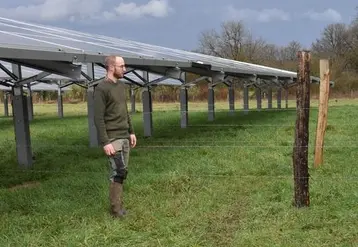 agrivoltaïsme éleveur prairie 
