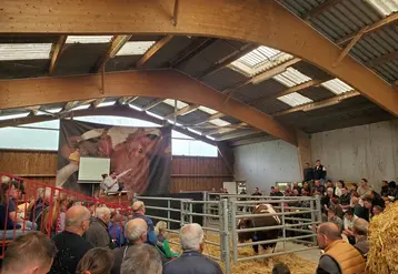 <em class="placeholder">Vente aux enchères Rouge des Prés</em>