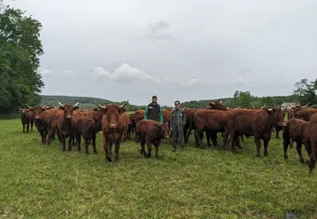 <em class="placeholder">éleveurs et vaches salers au pré</em>