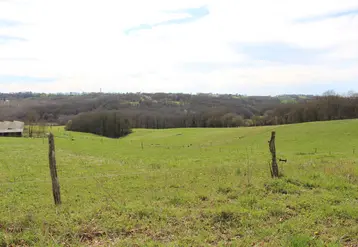 prairie pyrénées atlantiques