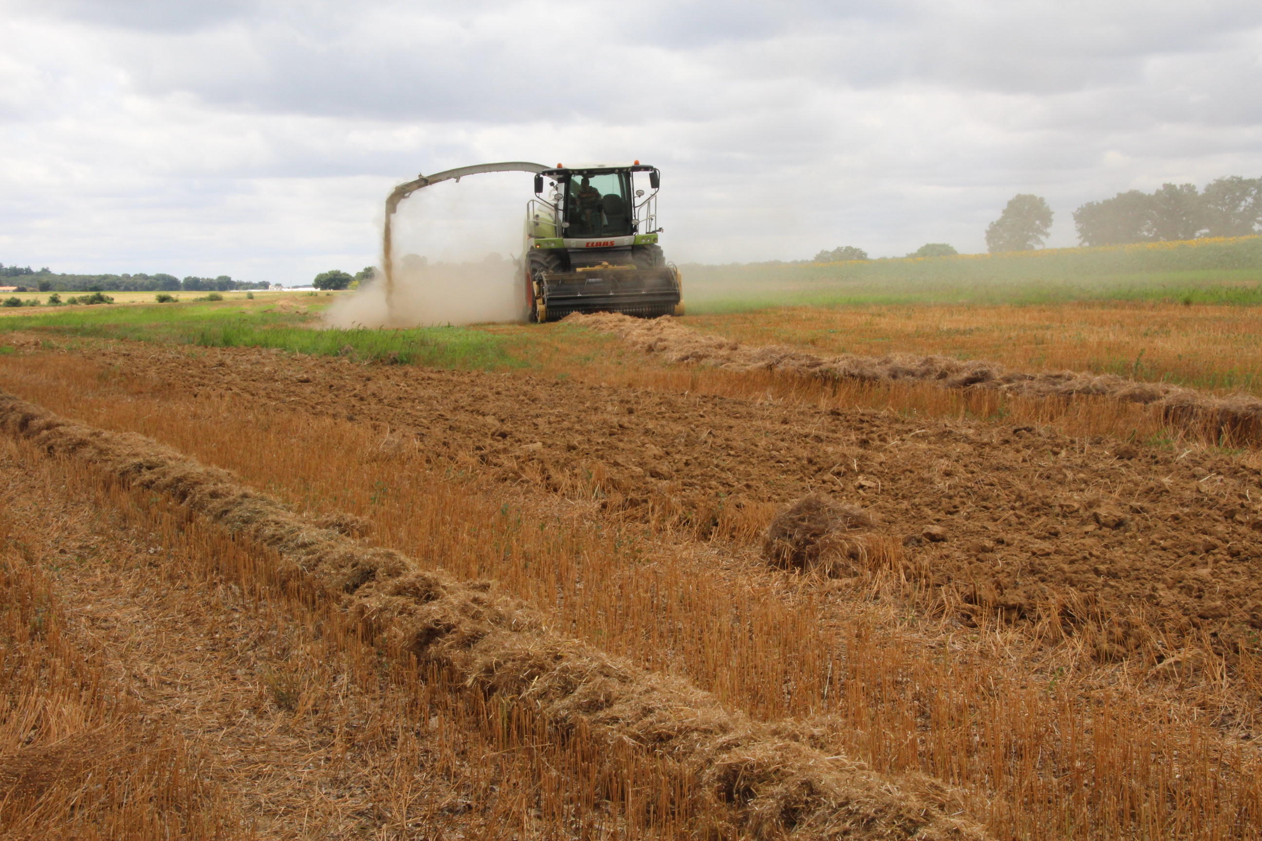 Expérimentation | Paille de lin : il faut trouver des débouchés |  Caracterres