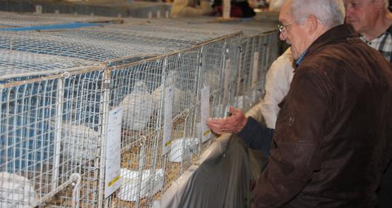 Volailles Ferme s'Invite