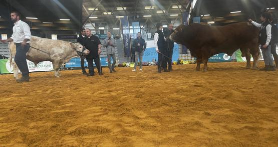 Les Sabots d'Or ont été remis à Bruno Girard et Bruno Guilloteau.
