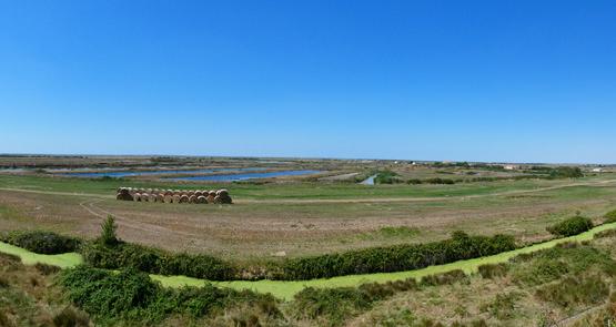 Le marais littoral vu depuis la citadelle de Brouage.