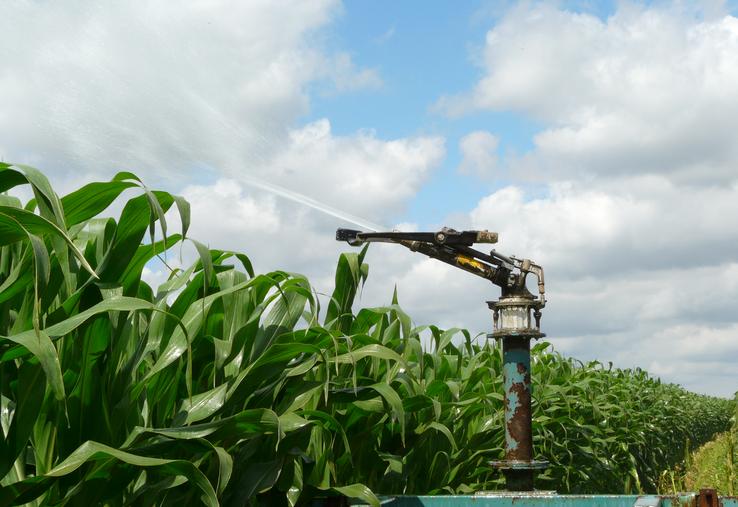 L'irrigation permet de sécuriser une partie de la production dans des filières spécialisées à forte valeur ajoutée, comme celle du maïs pop-corn de Sphère Production.
