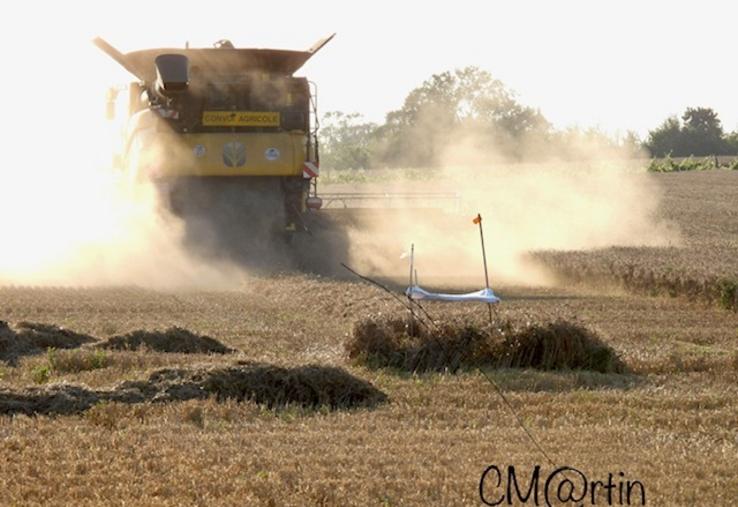 Les agriculteurs peuvent aussi appeler les référents locaux s’ils aperçoivent un nid avant les moissons.