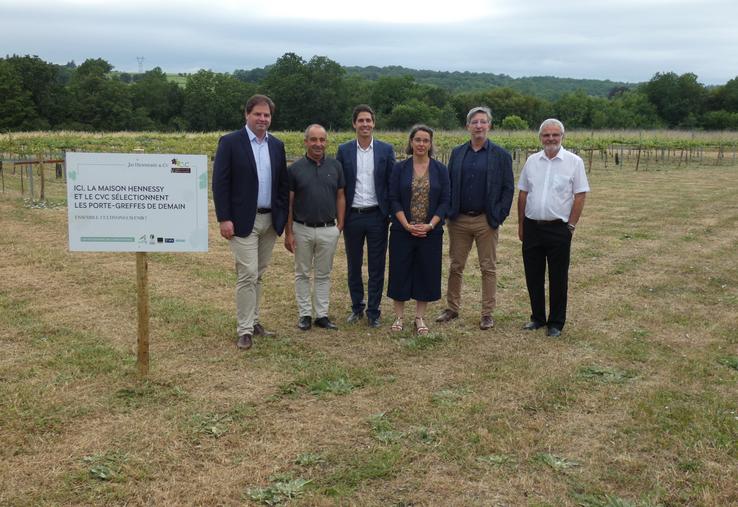 Les initiateurs du programme PG DéfHy devant la plateforme d'essai des porte-greffes mise à disposition par le CVC.