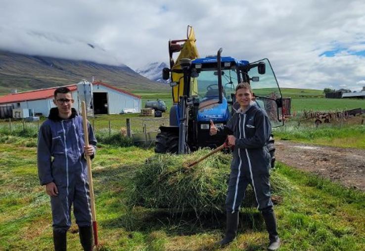 En 2022, Ilane et Clément sont partis en stage pendant
trois semaines en Islande, dans une exploitation laitière.