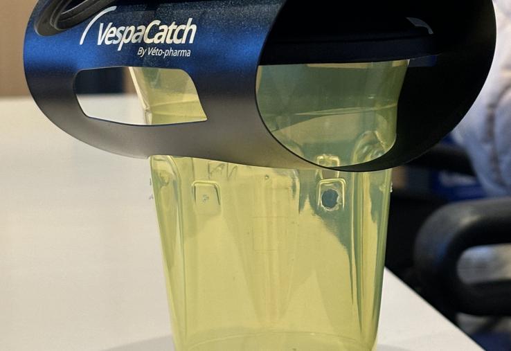 Dès maintenant, il faut mettre en place un piège sélectif.