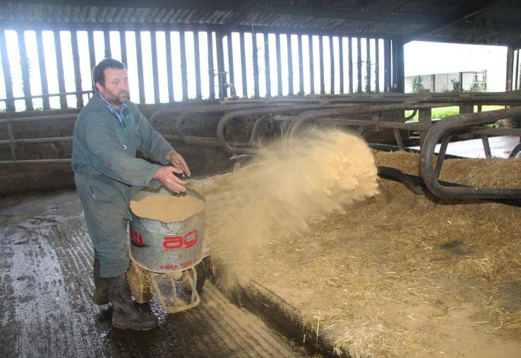 Pascal Guillon utilise la dolomie sèche avec de la paille, pour assécher la litière de ses vaches laitières.