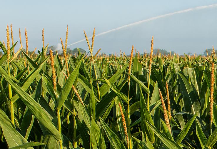 L'étude de Terrena menée auprès de producteurs de semences porte sur des réserves de moins de 3 ha.