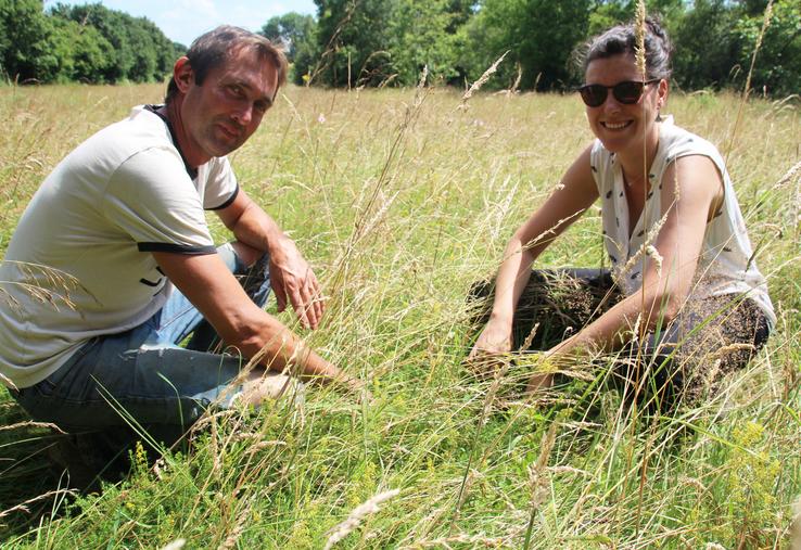Le concours "Prairies et parcours" met en avant les services rendus par les prairies naturelles.