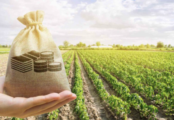 Après deux années de hausse de la valeur de la production agricole française, le repli est de 1,5 % en 2023.