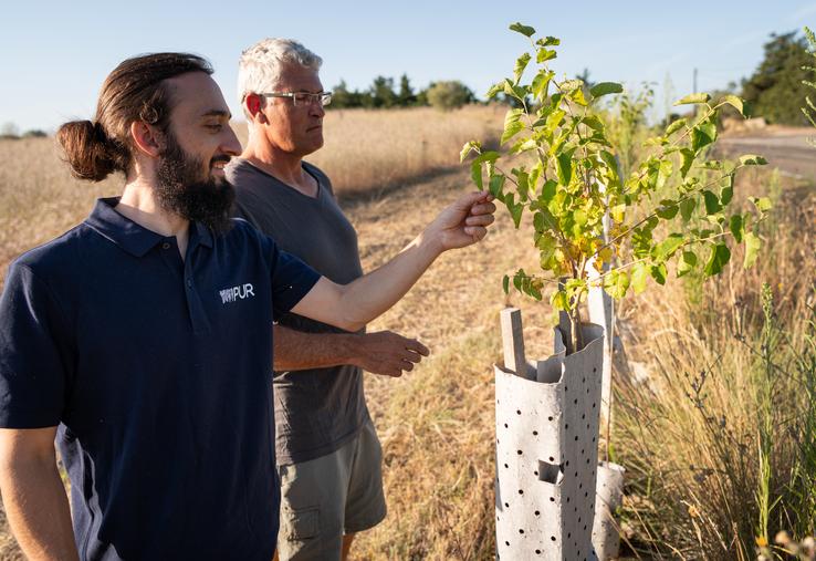 Le paillage et les manchons bas sont biodégradables. 